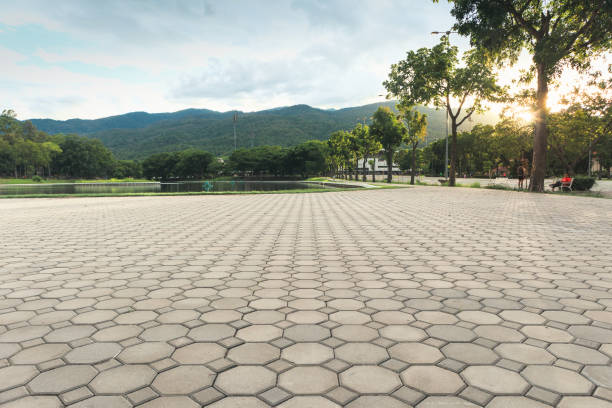 Best Residential Paver Driveway  in Lithia Springs, GA